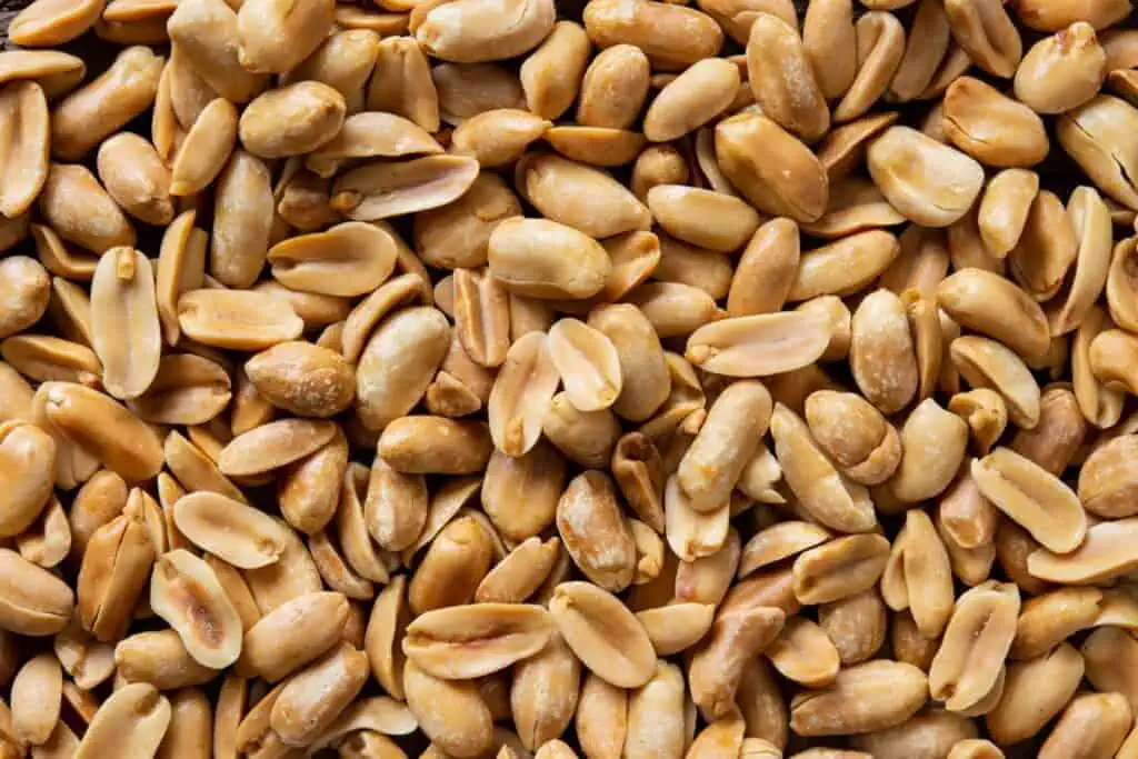 amendoim engorda ou emagrece