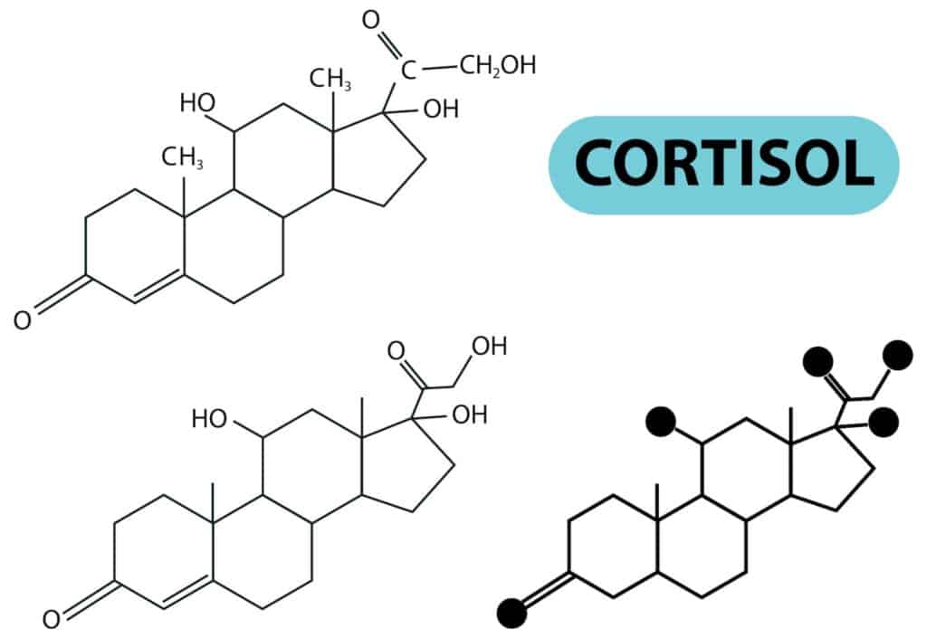 molecula cortisol