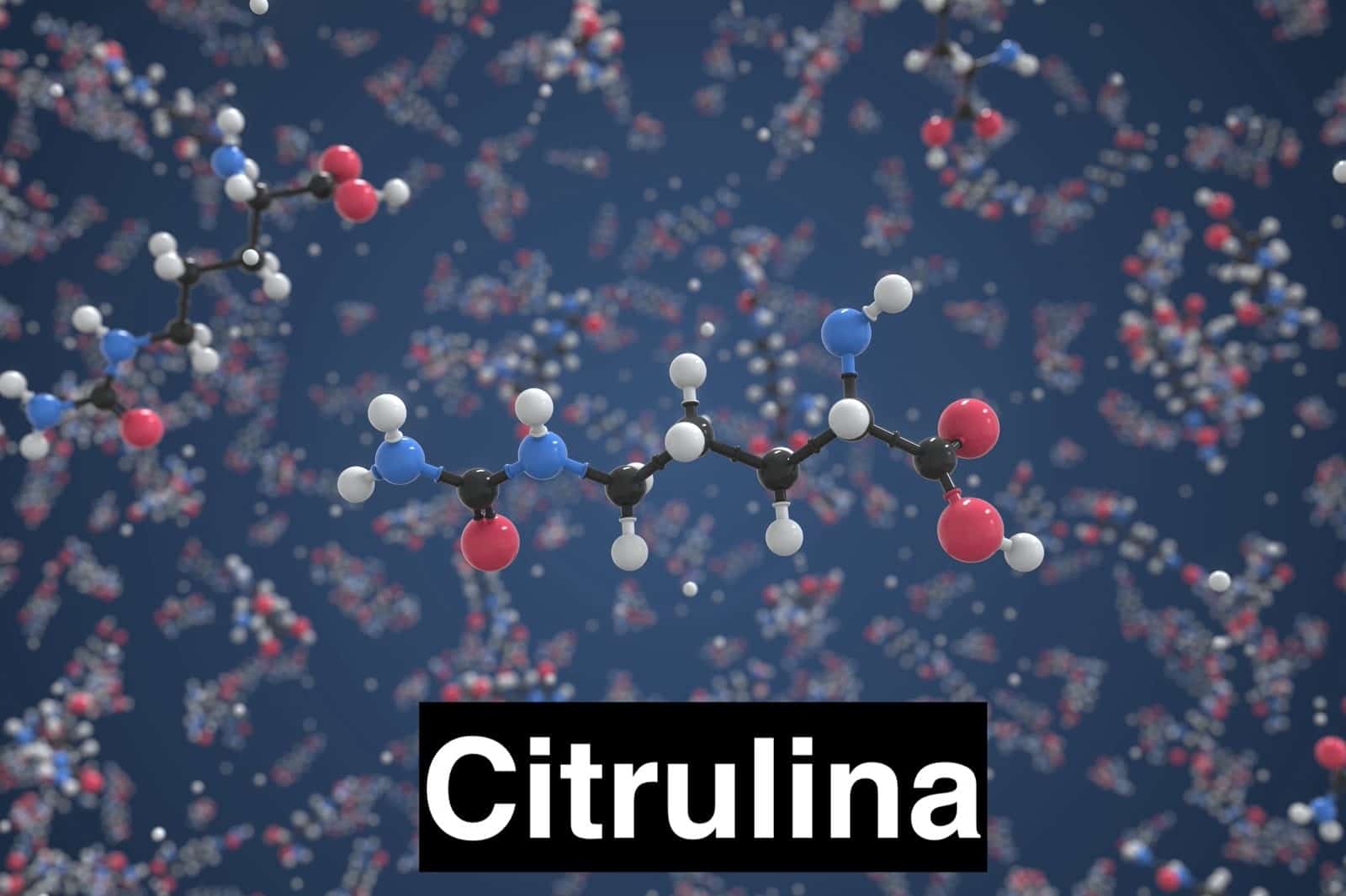 Molécula da Citrulina