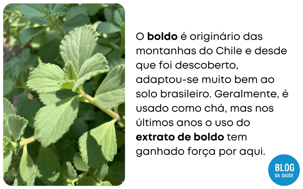 10 Alimentos que causam gases no bebe 4 1