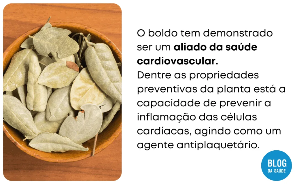 10 Alimentos que causam gases no bebe 5 1