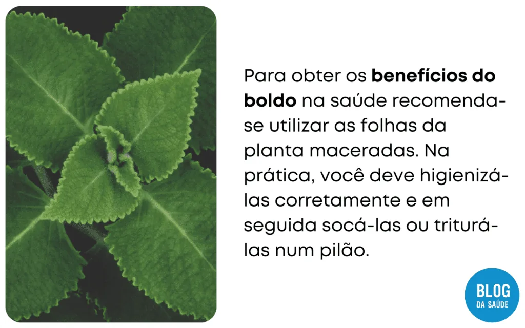 10 Alimentos que causam gases no bebe 6 1