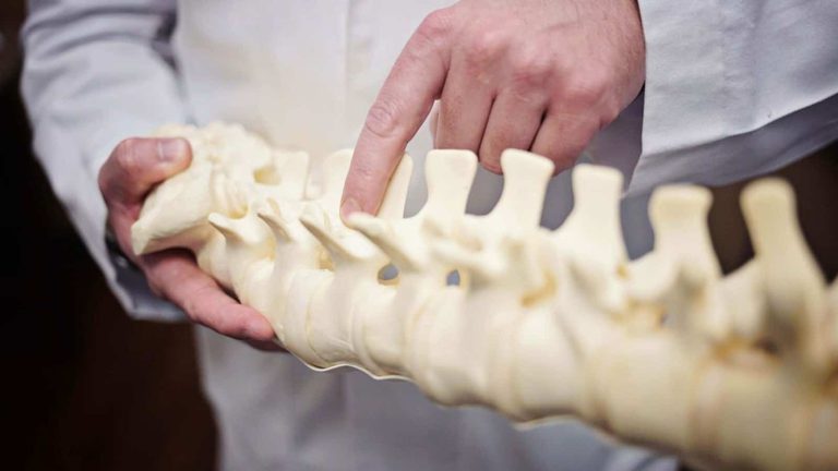 coluna vertebral e fisiatria