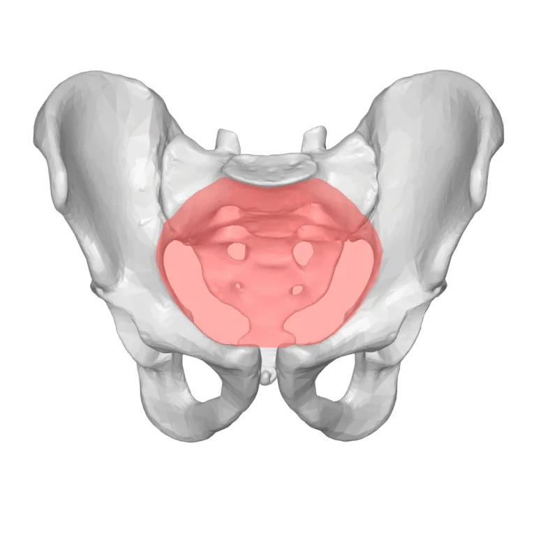 Coxartrose: artrose no quadril e tratamento