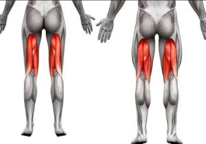Lesão dos músculos isquiotibiais – Musculatura Posterior da Coxa