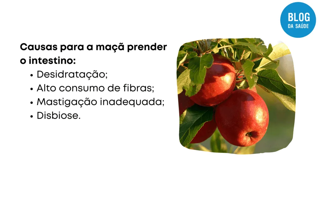 Alimentos que ajudam na digestao 7 1