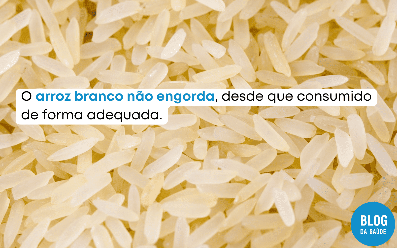 Arroz Branco Engorda? Quanto Devemos Comer Por Dia? - Blog Da Saúde