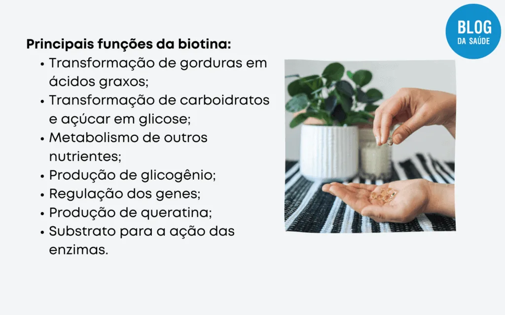 Biotina engorda 1