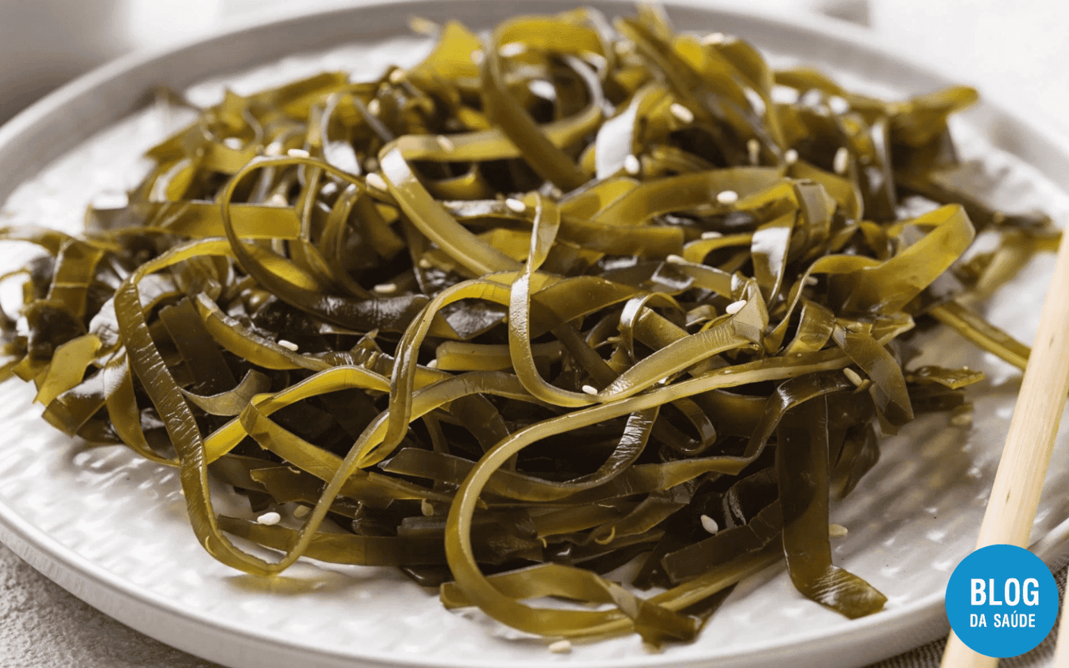 Fucoxantina O Que é, Para Que Serve, Benefícios E Como Tomar Blog Da