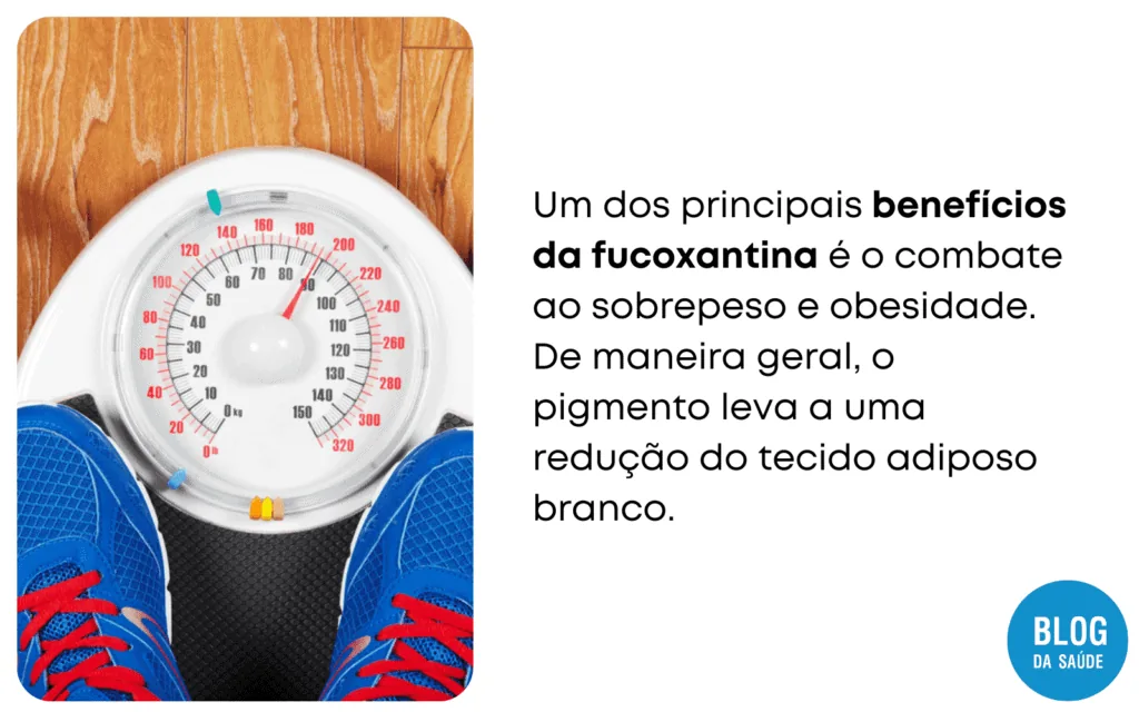 Fucoxantina 3 1