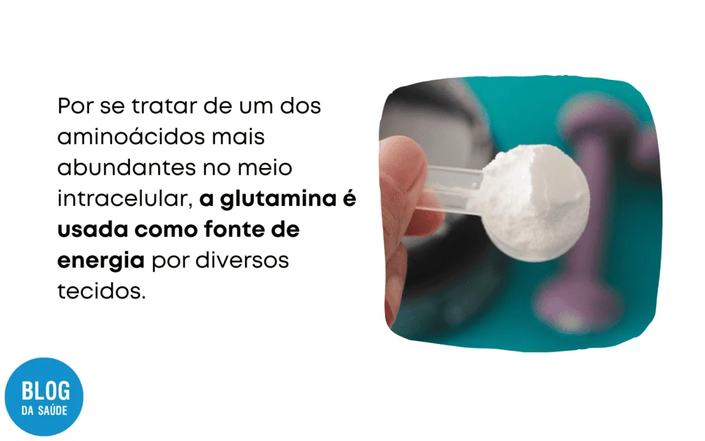 Glutamina engorda? Benefícios e uso seguro 2 Glutamina engorda Conheca os beneficios e como usar o suplemento 1