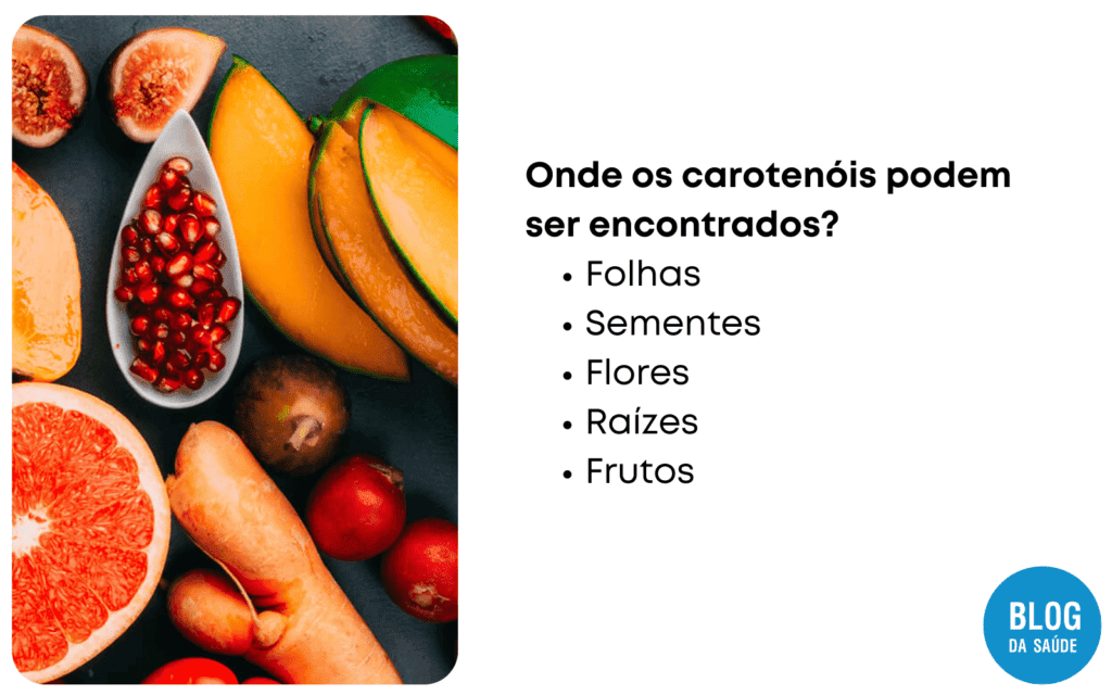 O que sao carotenoides 2 1