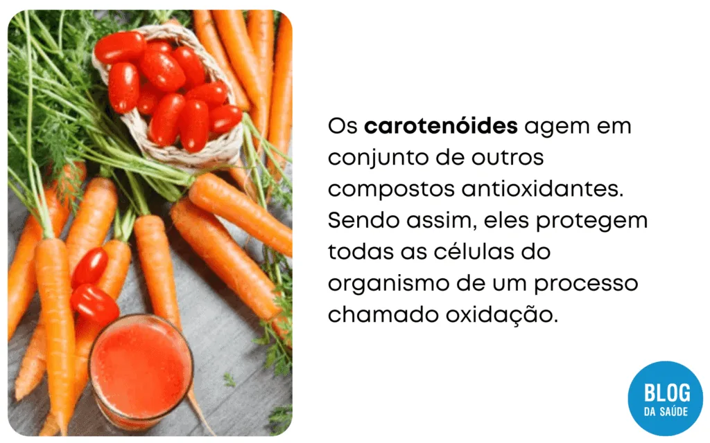 O-que-sao-carotenoides-3-1