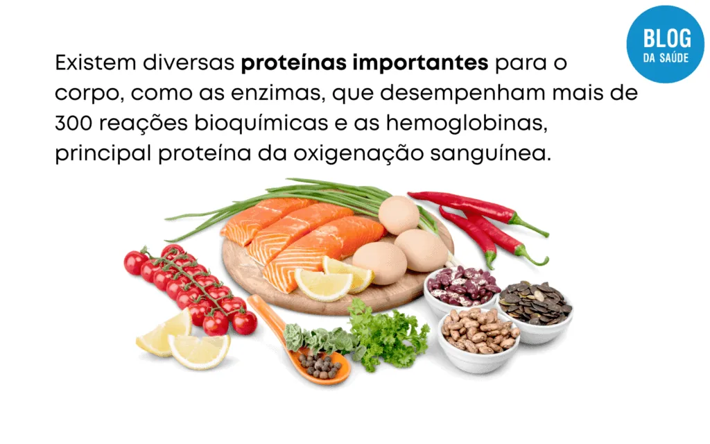 Proteina-engorda-1