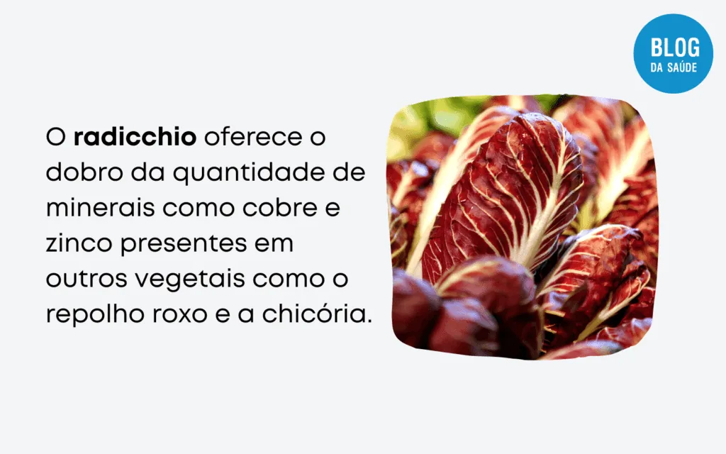 RADICCHIO 2 1