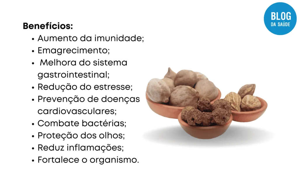 TRIPHALA 2 1