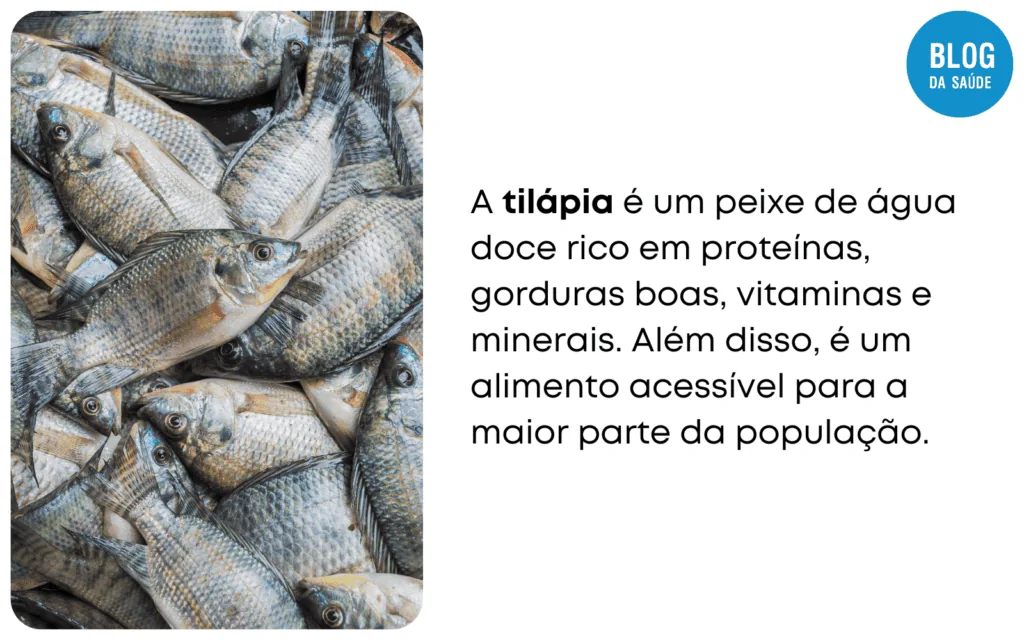 Tilapia e remoso 4 1