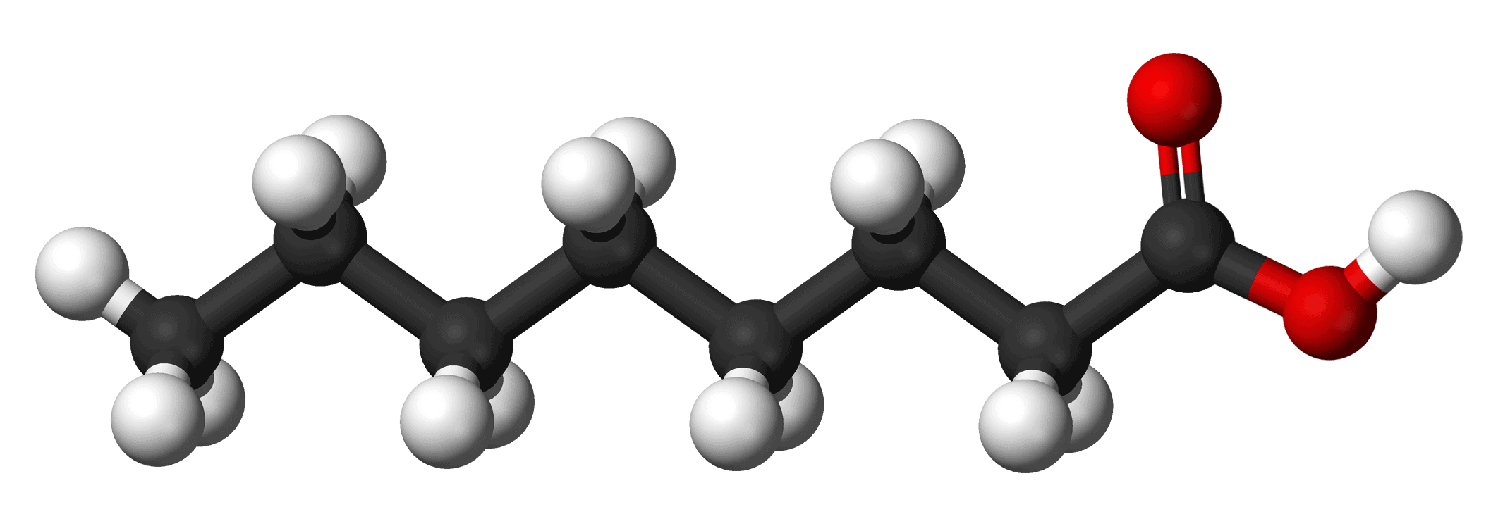 ácido caprico e caprilico