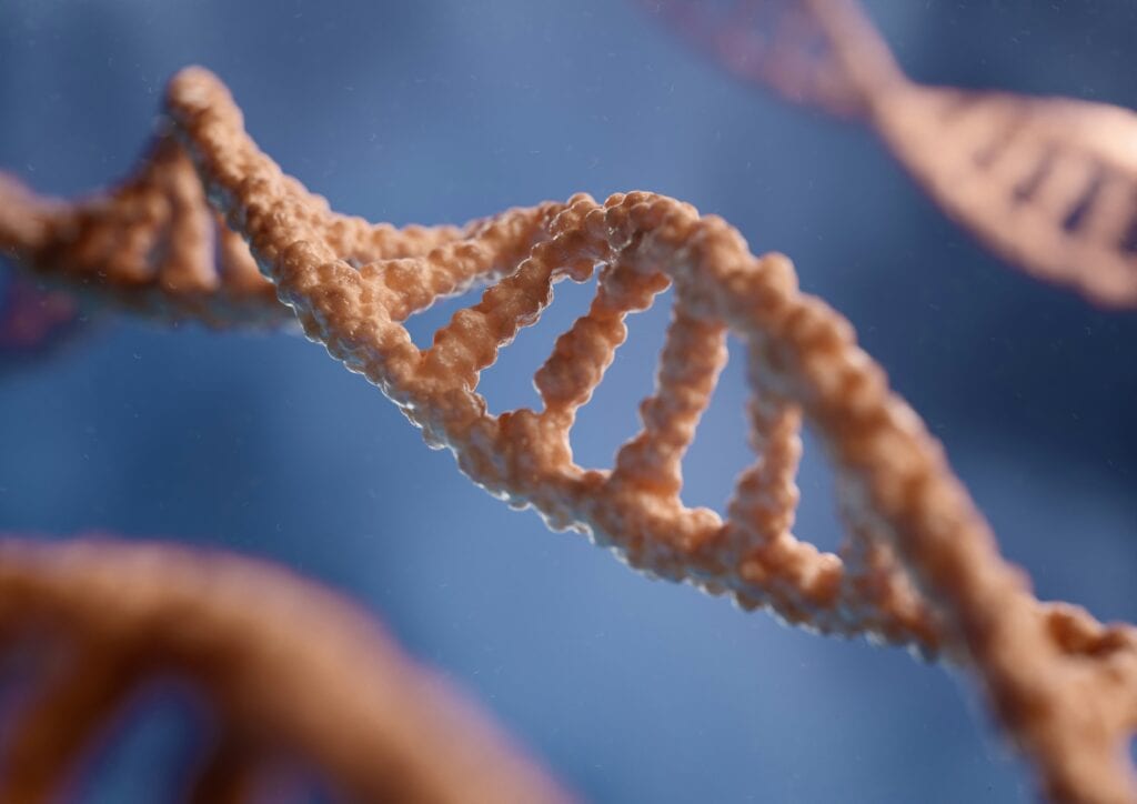 PDRN: A Ciência Regenerativa que Reprograma o Envelhecimento da Pele 4 ciencia pdrn dermatologia