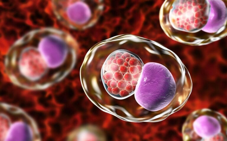 Clamídia: Quais são seus sintomas? 9 clamidia