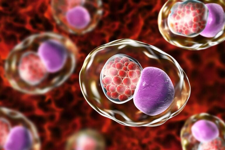 Clamídia: sintomas, transmissão e tratamento 16 Clamídia: sintomas, transmissão e tratamento
