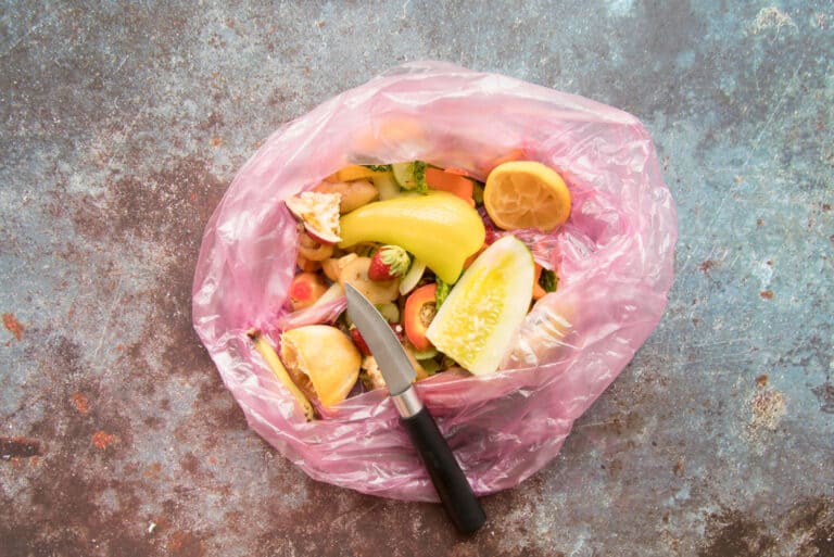 Restos de comida: por quanto tempo guardar?