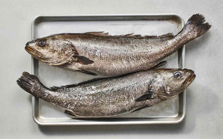 Corvina é remoso? Entenda os alimentos remosos e seus efeitos na saúde 3 corvina