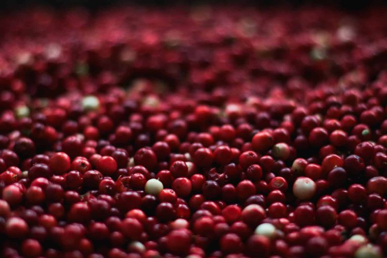 cranberrie