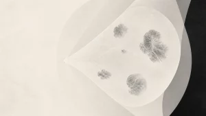 Ilustração editorial abstrata em tons de cinza sobre mamas com densidades fibroglandulares esparsas