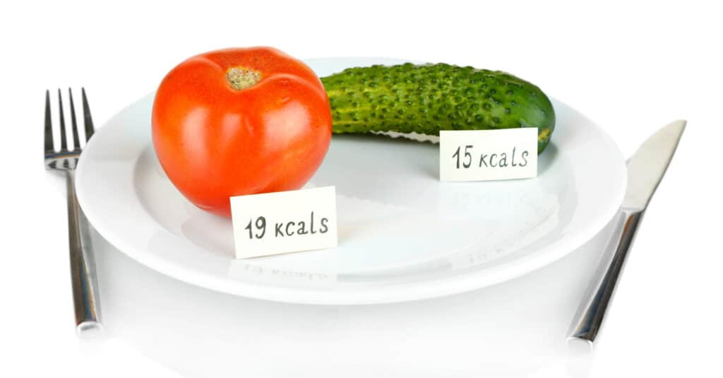 Dieta De 1000 Calorias - Blog Da Saúde