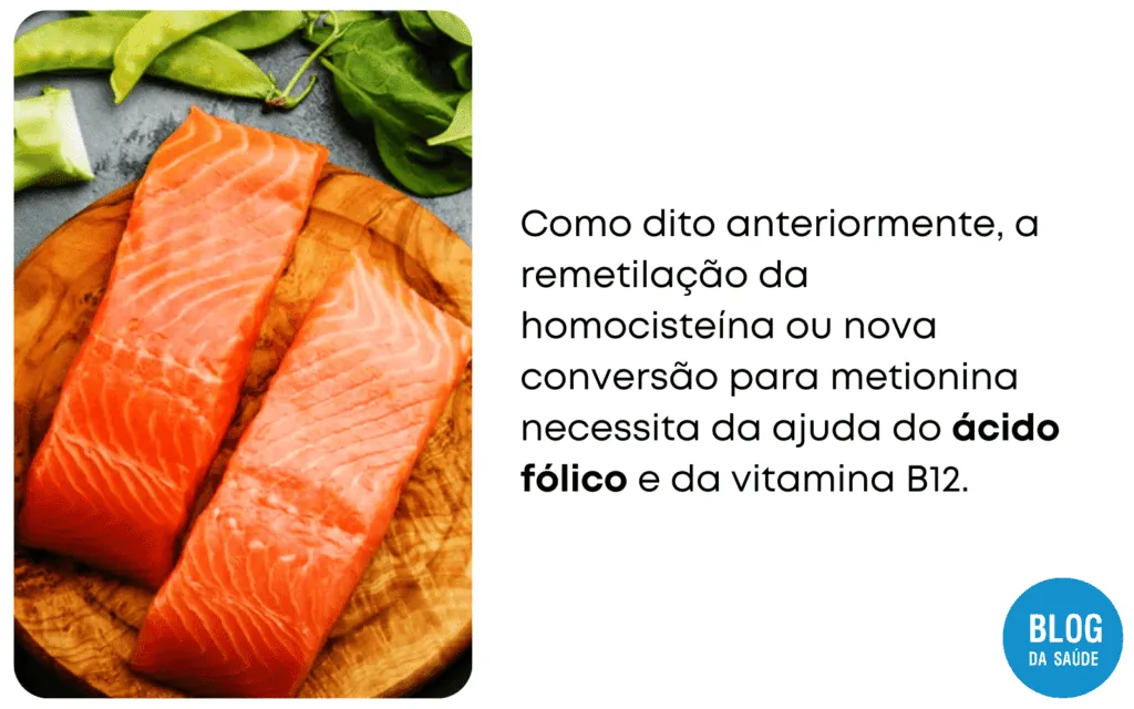 homocisteina acido folico vitamina B6 e vitamina B12 3 1