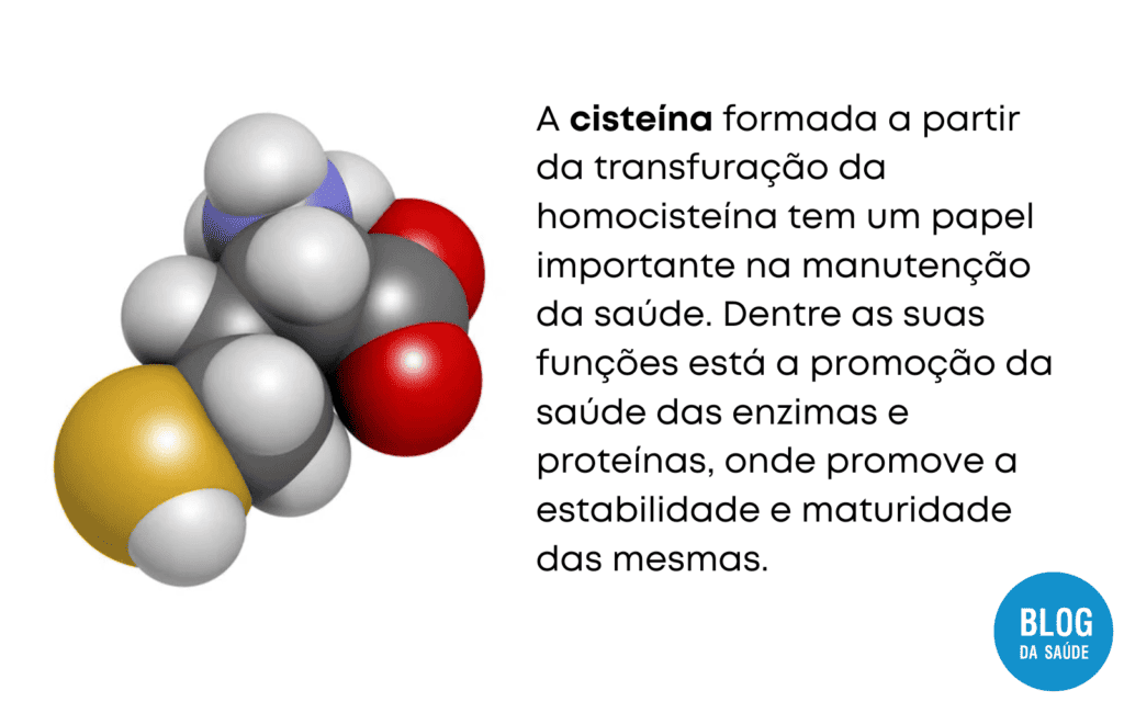 homocisteina acido folico vitamina B6 e vitamina B12 4 1