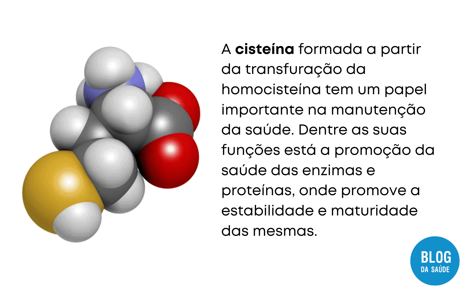Relation Between Homocysteine, Folic Acid, Vitamin B6 And Vitamin B12