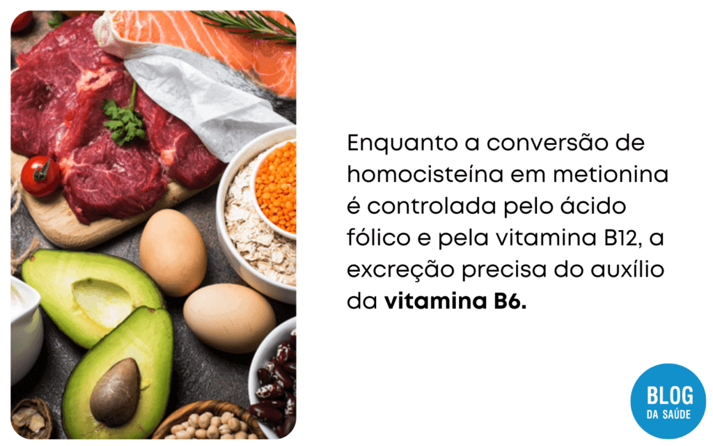 homocisteina acido folico vitamina B6 e vitamina B12 6 1