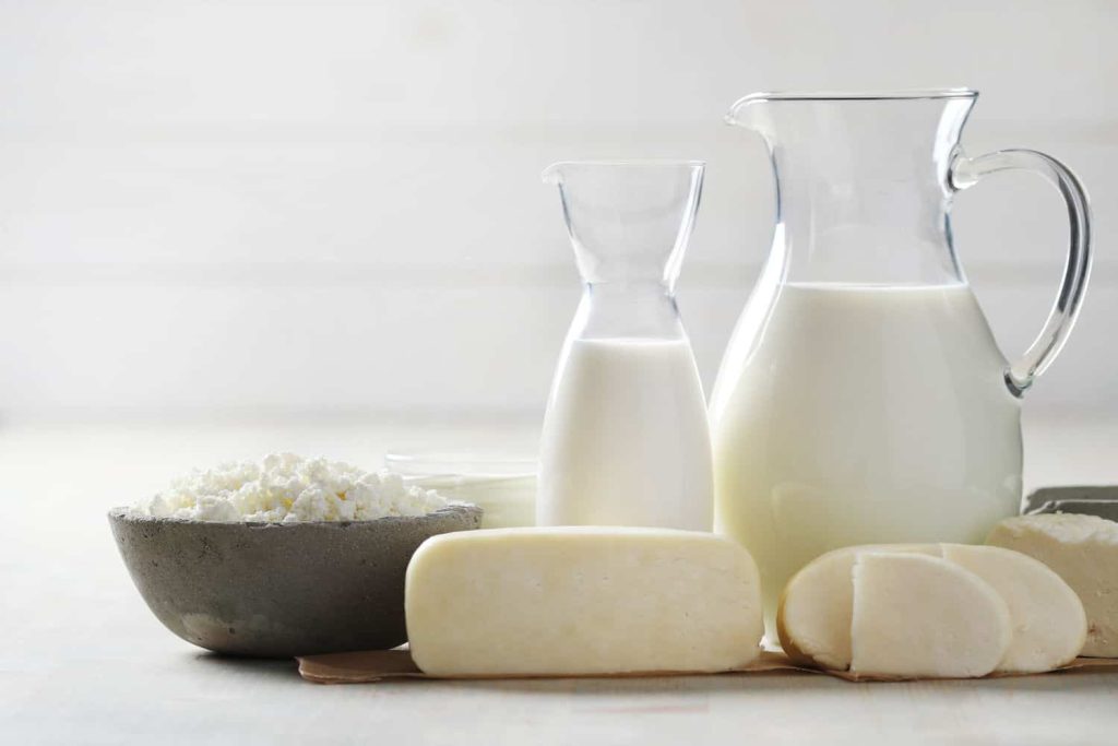 Como Funciona a Digestão da Lactose no Organismo?