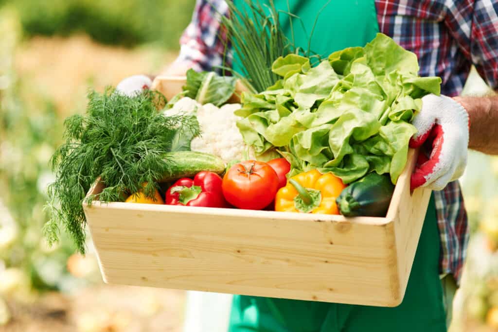 Frutas e legumes por dia: quanto comer? 1 Frutas e legumes por dia: quanto comer?