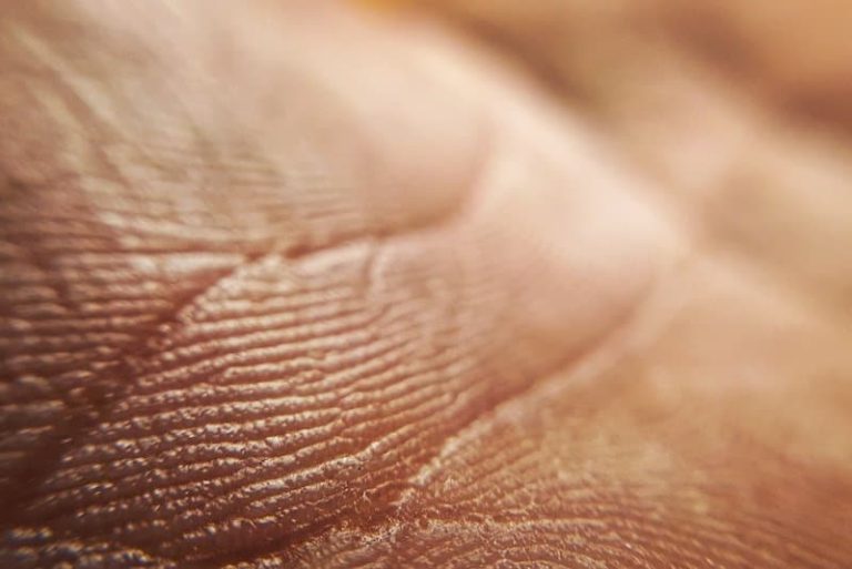 Rejuvenescimento celular da pele: o que diz a pesquisa