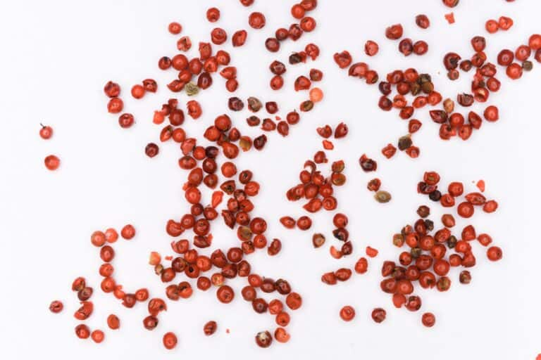 Cranberry Fruta: Benefícios, quanto comer e como incluir na dieta 