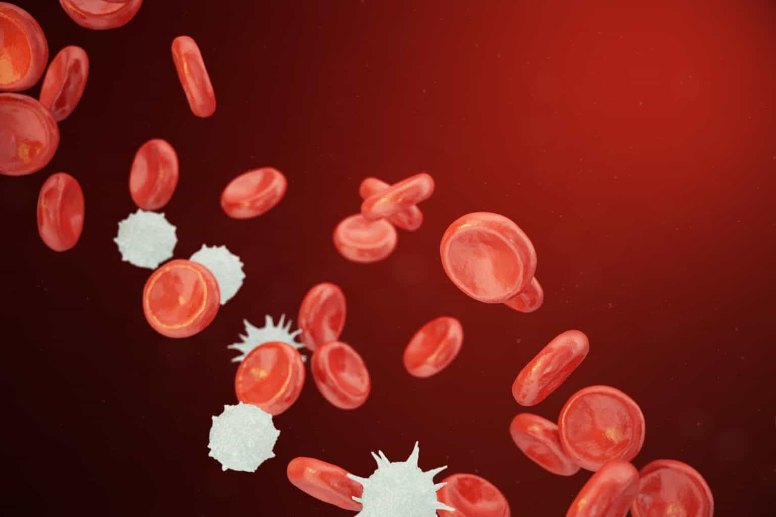 Neutrófilos Baixos O Que é? Causas, Sintomas E Tratamento Blog Da Saúde