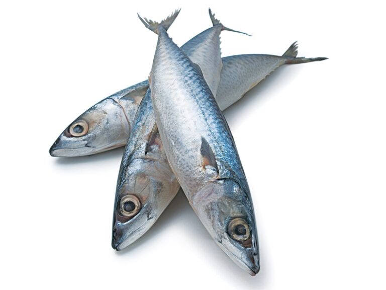 Sardinha é remoso? Como incluir na dieta