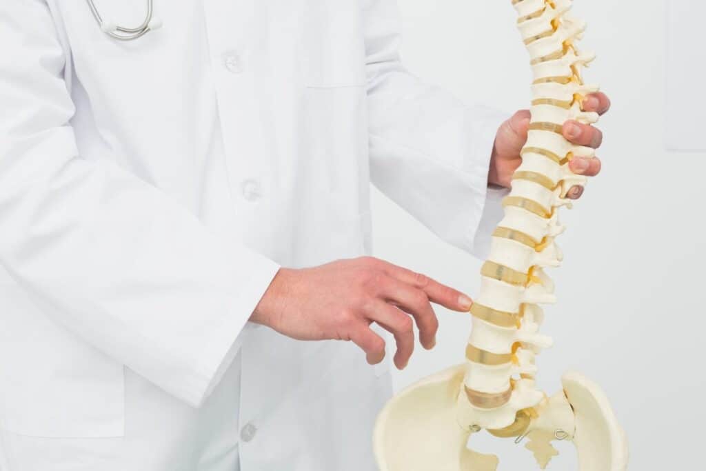 Síndrome da Cauda Equina - Aprenda mais! 1 sindrome da cauda equina