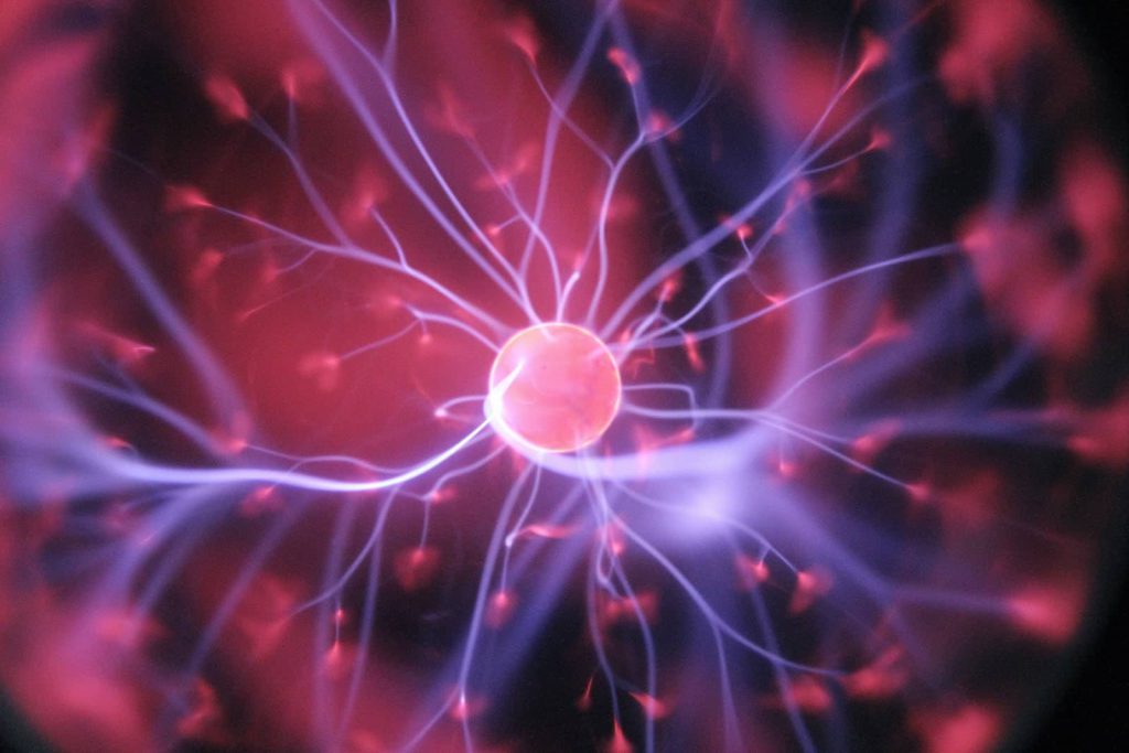 sistema nervoso cerebro neurotransmissores