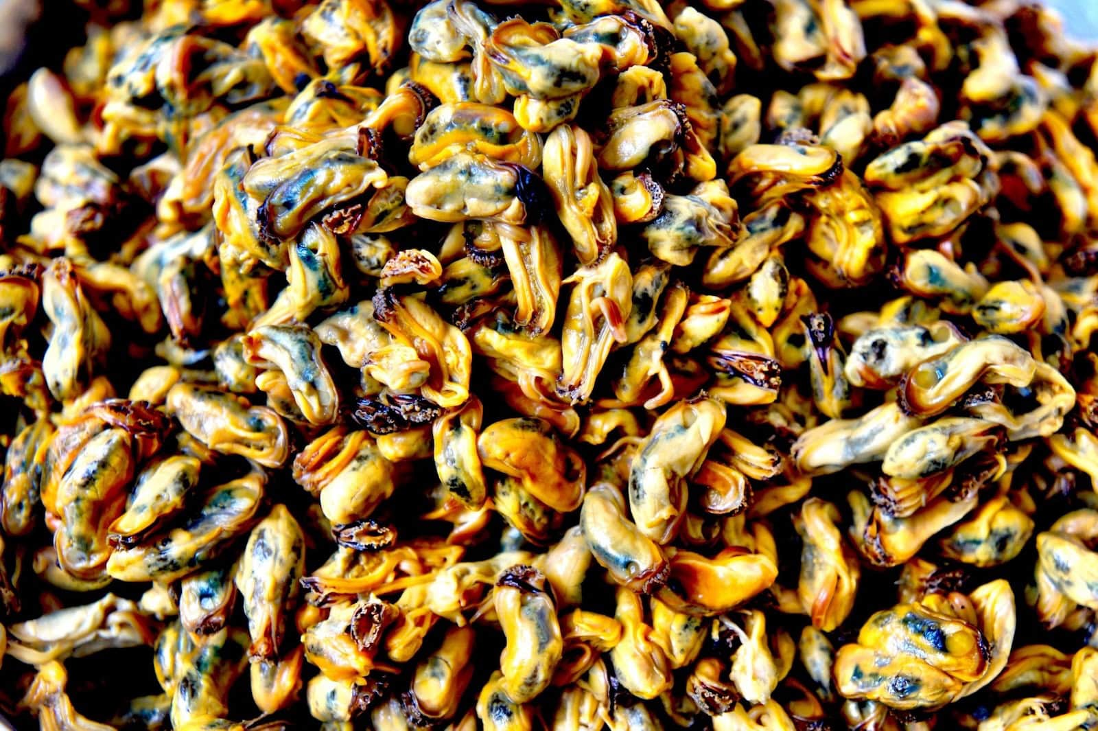 Sururu é Remoso? Posso comer? 1 sururu remoso