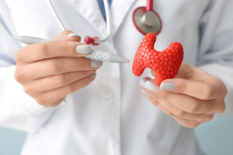 Alimentos Que Prejudicam a Tireoide